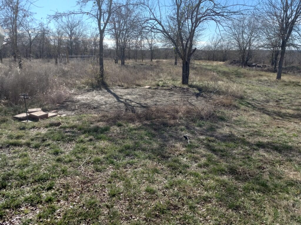 Grassy clearing with scattered trees and a small concrete slab with steps on the left under a clear blue sky.