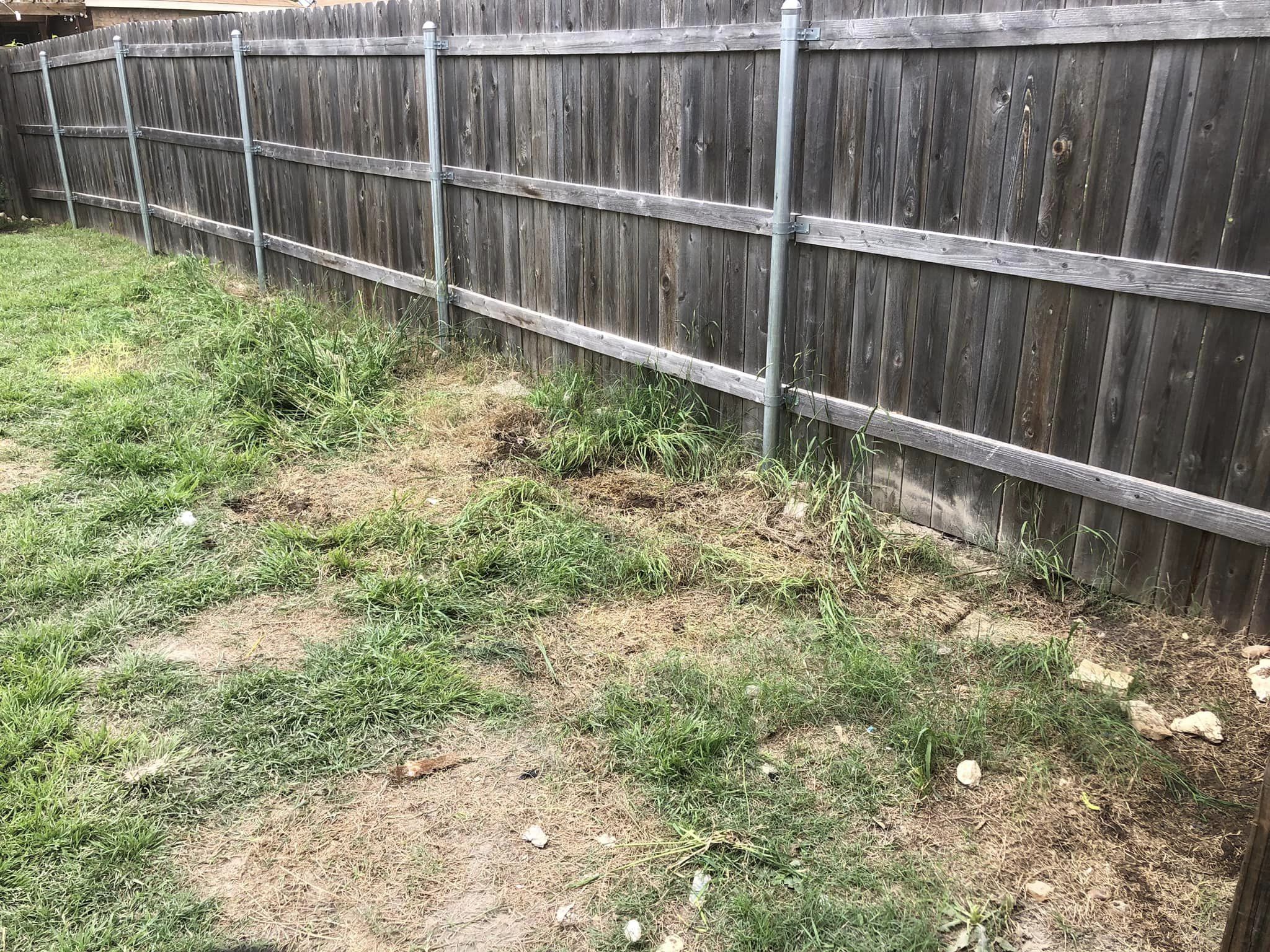 A weathered wooden fence with metal posts and patchy grass.